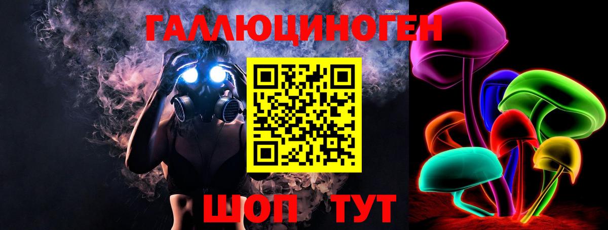 Псилоцибиновые грибы Psilocybine cubensis  Галлюциногенные грибы ЛСД  Вход с VPN  Александров 